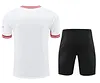 2024/2025 Liverpool Pre-match Training Whirt-Red Shirt+Shorts  1:1 Thai Quality