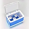 3L Insulated Portable Cooler with Handle Mini Freezer Fridge for Beach Picnic