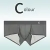Ice Silk Seamless Transparent Ultra-Thin Boxer Briefs