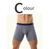 Men's Ice Silk Underwear Sexy Bulge Puch Low Rise See Through Boxer Briefs Thin Cool Boxers Shorts