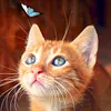 Diamond Painting-DIY Full Drill  Cat