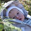 20" Yolanda  Realistic Reborn Baby Gift - RBBI-Myrebornbabydoll&reg; Myrebornbabydoll&reg;