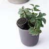 10Pcs Plant Fertilizer Baskets with Lid Orchid Cultivate Park Root Nursery Pots