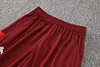 Joyfball 2024/2025 Brazil International Half-Pull Training Suit Red Football Shirt 1:1 Thai Quality