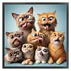Funny Cat-11CT Stamped Cross Stitch 40*40cm
