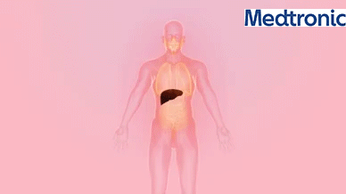 Wątroba przywraca zdrowie.gif