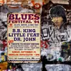 Blues - Vintage Metal Signs - 20*30cm/30*40cm - Music