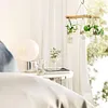 Glass Container Plants Glass Air Plants Hanging Glass Container Plants Glass Home Decor Vase Wall Mounted Glass Planter (Hanging Glass Vase)