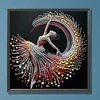 Dancing-Special Shaped Diamond Painting Kit