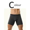Men's Ice Silk Underwear Sexy Bulge Puch Low Rise See Through Boxer Briefs Thin Cool Boxers Shorts