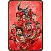 (Multi Style)Football Star - Vintage Metal Signs - 30*40cm