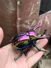 Clockwork beetle toy insect beetle simulation animal rhinoceros beetle electroplating mechanical model