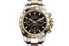 Rolex 116503 Cosmograph Daytona - Rolex Warranty to 2026