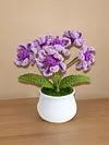 4Pcs Potted Plants Crochet Kit DIY Crochet Starter Kit Crochet Set for Beginners