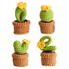 4Pcs Potted Plants Crochet Kit DIY Crochet Starter Kit Crochet Set for Beginners