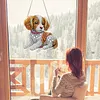 Diamond Painting Acrylic Double-side Big Dog Pendant Hanging Gem