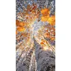 Autumn Birch Trees-11CT Stamped Cross Stitch 40*75cm/15.75*29.53in(Big Size)
