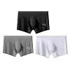 Men's Ice Silk Sexy 3D Seamless Boxers Panties