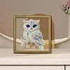 Owl DIY Special Shape Double sided Print Clear Diamond Art Kit Wooden Framed Diamond Painting Kit(22x22cm)