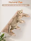 Cat Stairs Wall Mounted Cat Climbing Shelf Wooden Cat Wall Steps for Cats