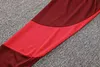 Joyfball 2024/2025 Brazil International Half-Pull Training Suit Red Football Shirt 1:1 Thai Quality