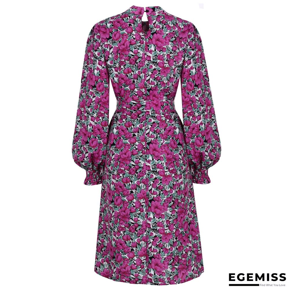 Floral Stand Collar Lantern Long Sleeve Chiffon Dress | EGEMISS