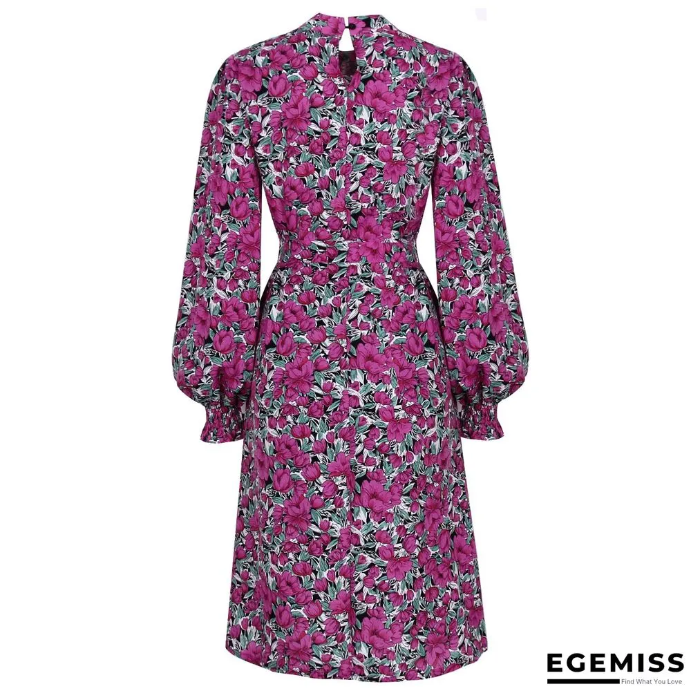 Floral Stand Collar Lantern Long Sleeve Chiffon Dress | EGEMISS