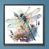 (US Local)Dragonfly-Paint By Numbers Kit(40x40cm)
