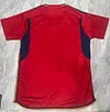 2022 FIFA World Cup Spain Home Soccer Shirt love fball
