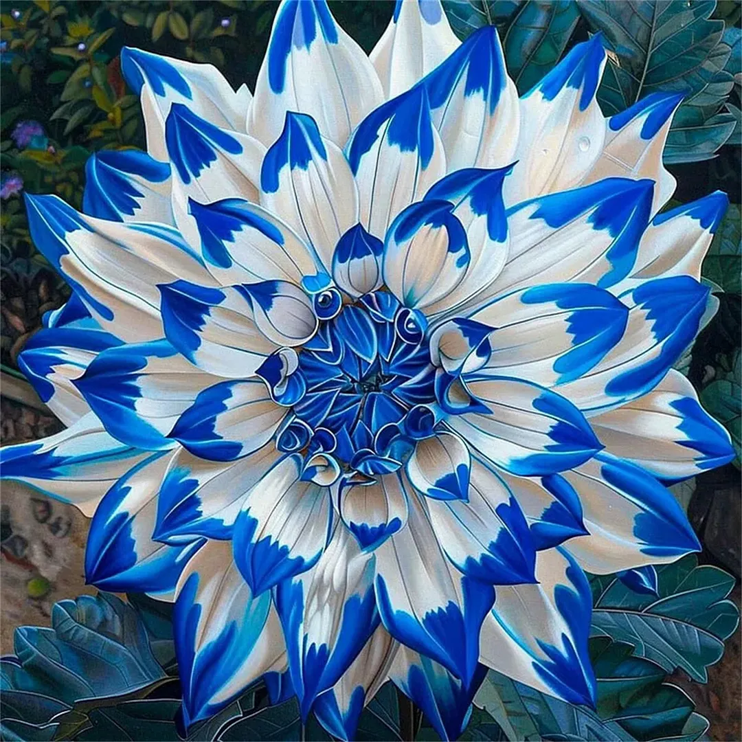 Red Devils-Double dahlia bulbs