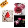 (3Pcs）Flower Animal-Paint by Numbers Acrylic Painting 20*20cm
