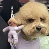 Customized Pets Human Ugly Stuffed Keychains With Poseable Skeleton Send Pic to bruce663@foxmail.com