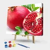 Fruit-Paint By Numbers Acrylic Painting 50*40cm