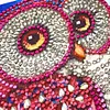Owl - Special Shaped Diamond Painting Kit