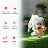 Dog Toys Cute Plush and pet Interaction Pulling, Soothing, Companionship, Sturdy Indoor Puppy Toys, Dog Squeaky Toys, Puppy, or Small, Medium Dog Teething or chew Toys