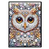2pcs Owl Partial DIY 50 Pages A5 Diamond Painting Notebook for Study Drawing
