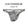 Men's Low Rise Lace Sexy Briefs