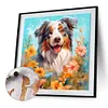 Laughing Dog-Paint by Numbers Acrylic Painting 40*40CM