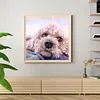 Paint by Numbers Acrylic Painting - Pet Dog 40*40cm(HOT)
