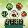 🔥Hot Sale Promotion 49% OFF - Seed Starter Trays with Grow Light
