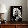 Diamond Painting-DIY Special Shaped Drill Pearl Painting Horse(30x40cm)