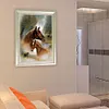 Horses-Partial Round Diamond Painting