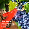 Nongyi pepper picking scissors picking artifact picking beans grape thin fruit scissors vegetable picking thumb knife fruit picking scissors pepper picking tool