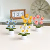 4Pcs Potted Plants Crochet Kit DIY Crochet Starter Kit Crochet Set for Beginners