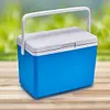 3L Insulated Portable Cooler with Handle Mini Freezer Fridge for Beach Picnic