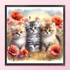 Cat-Partial 11CT Stamped Cross Stitch Bead Embroidery 36*36cm/14.17*14.17in