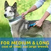 💖🎁2024 New Year Hot Sale🎁 48% 🎁Pet Safe Dematting Comb