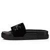 Slides
