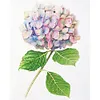 Hydrangeas-Paint by Numbers Acrylic Painting 40*50CM