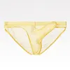 Men's Ultra Thin Breathable Mesh Elephant Nose Pouch Triangle Briefs Underwear Hip Coverage Bikini Panties